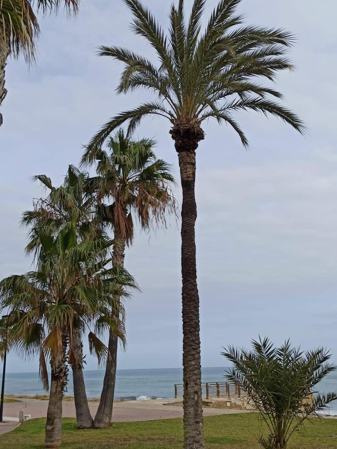 Apartament En Magic World. Nueva Marina Dor Oropesa del Mar